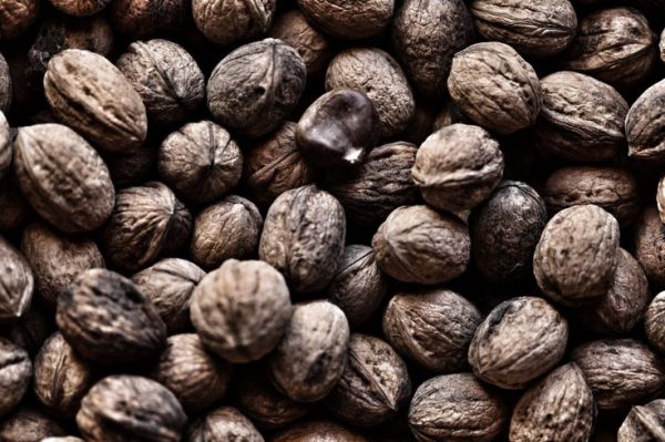 Fresh Walnuts-Black