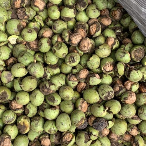 Fresh Walnuts-Black