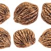Fresh Walnuts-Black