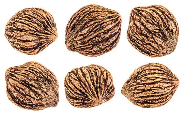 Fresh Walnuts-Black