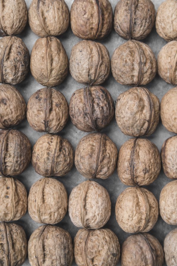 Fresh Walnuts-white