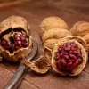 Fresh Walnuts-Red