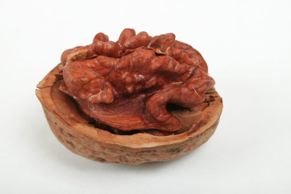 Fresh Walnuts-Red