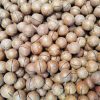 Macadamia Nuts